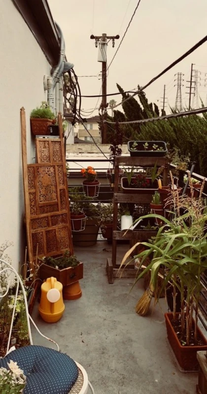 Garden Patio with plants and outdoor furniture